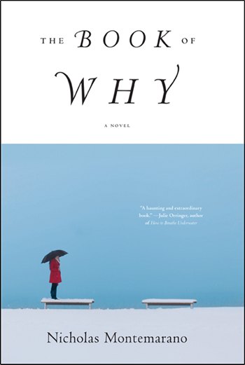 Nicholas Montemarano: The Book of Why