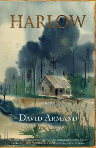 David Armand: Harlow