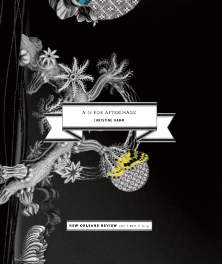 A is for Afterimage (excerpt)