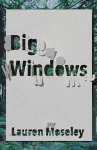 Big Windows book cover