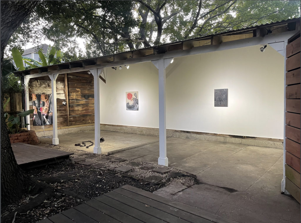 Installation view of “Good Dog/Bad Dog” at SHED