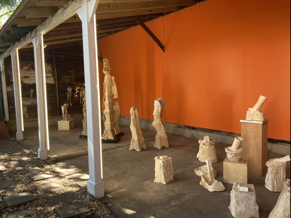 Installation view of “Stumps, Rapunzel and the Wicked Witch of the West” by Evelyn Jordan at SHED