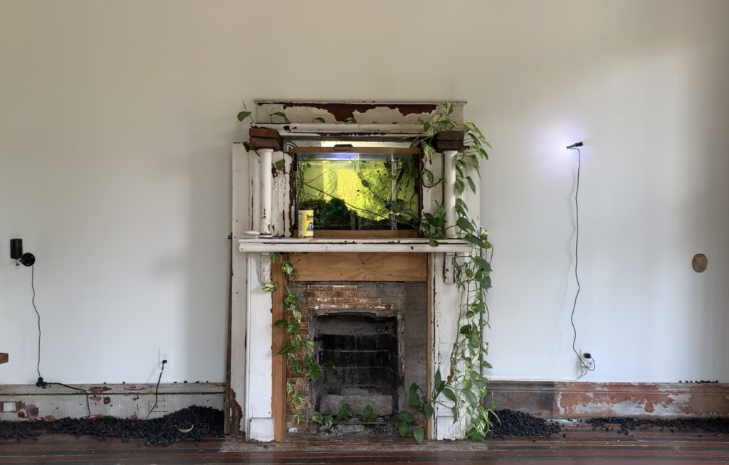 Jon Gott, Vestiges, Installation view, Aquarium Gallery.
