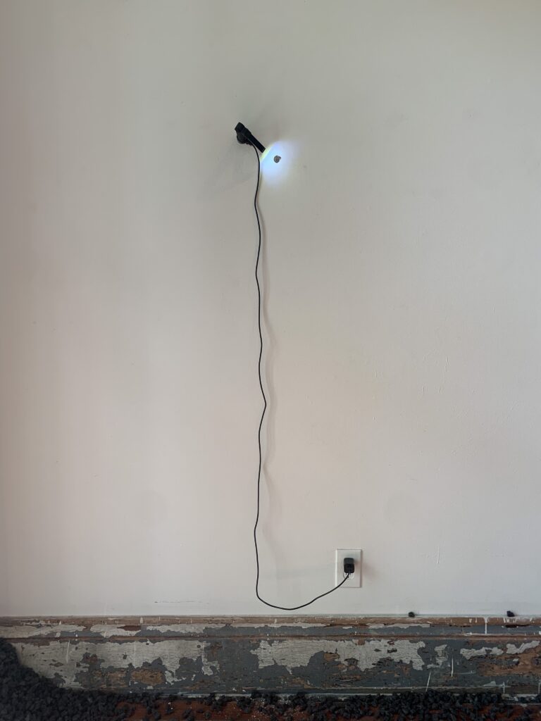 Jon Gott, Heatseeker. Embedded snail shell, wall, lamp, electrical cord.
